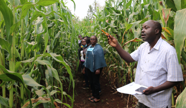 AgriAccess%20Nigeria%20Limited