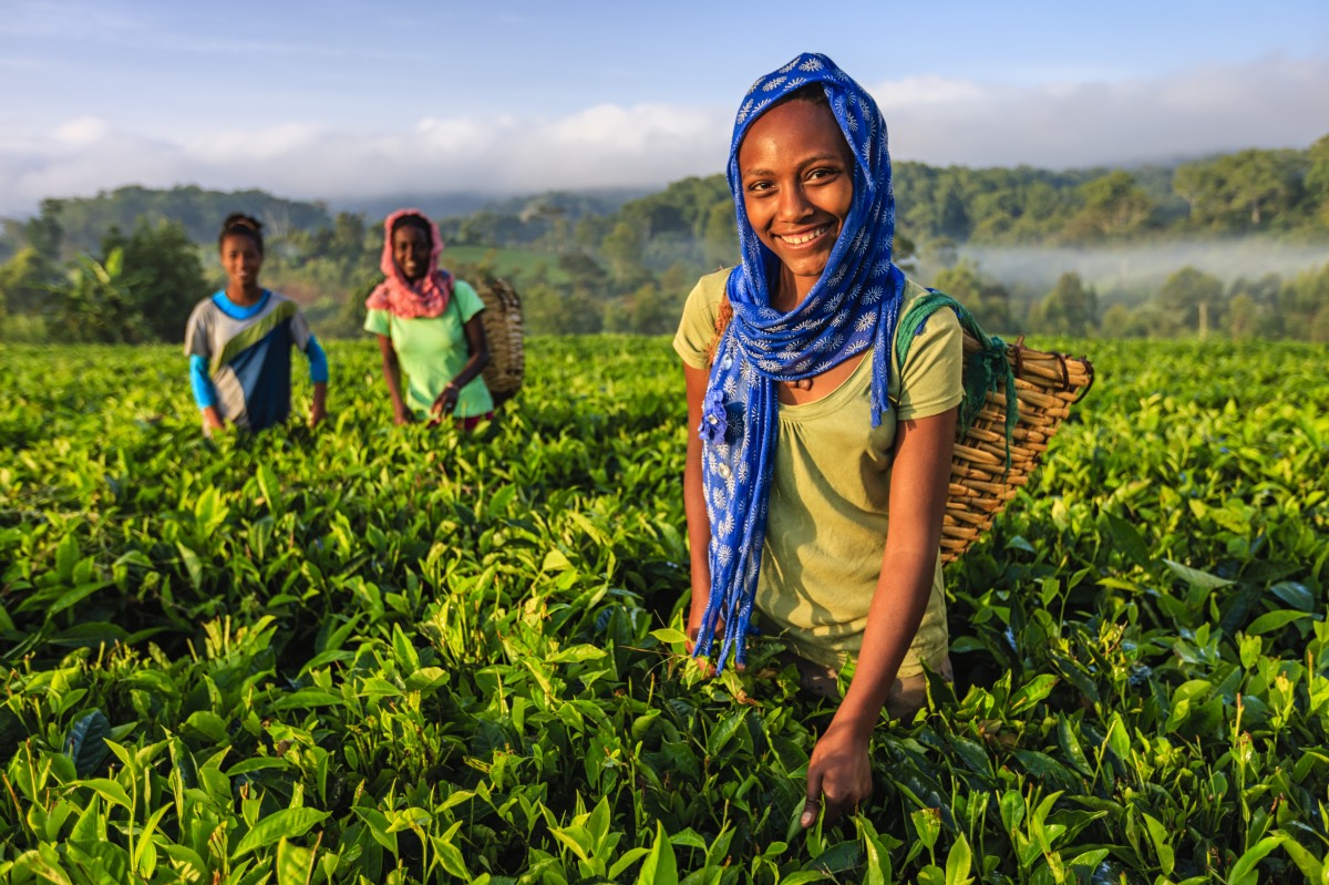 AgriAccess%20Nigeria%20Limited