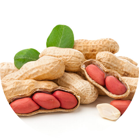 AgriAccess Nigeria Limited