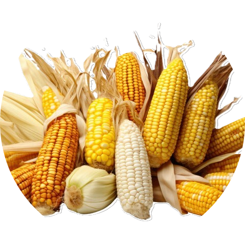 AgriAccess Nigeria Limited