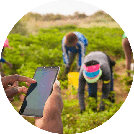 AgriAccess Nigeria Limited