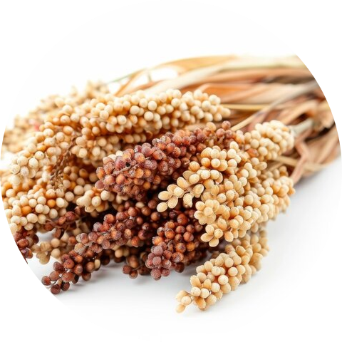 AgriAccess Nigeria Limited