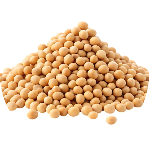 AgriAccess Nigeria Limited