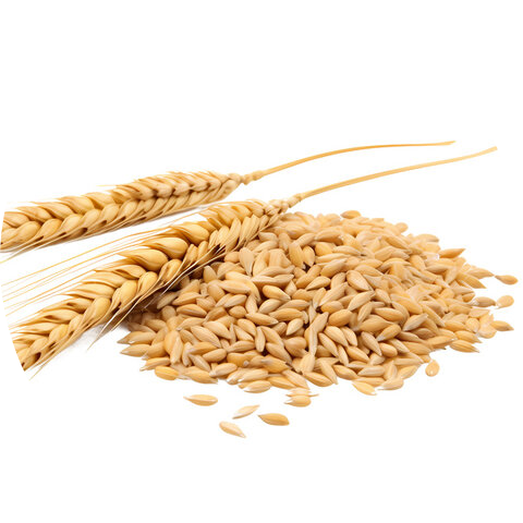 AgriAccess Nigeria Limited