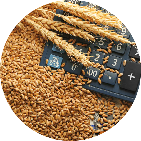 AgriAccess Nigeria Limited