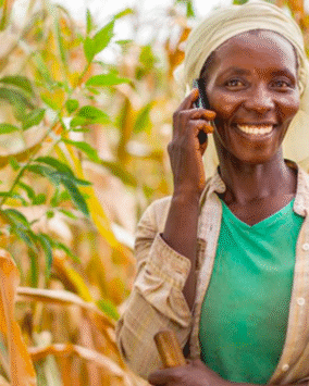 AgriAccess Nigeria Limited