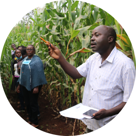 AgriAccess Nigeria Limited