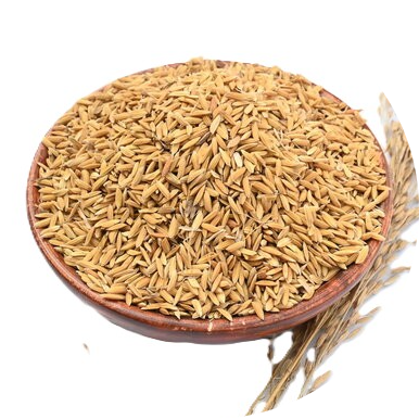 AgriAccess Nigeria Limited